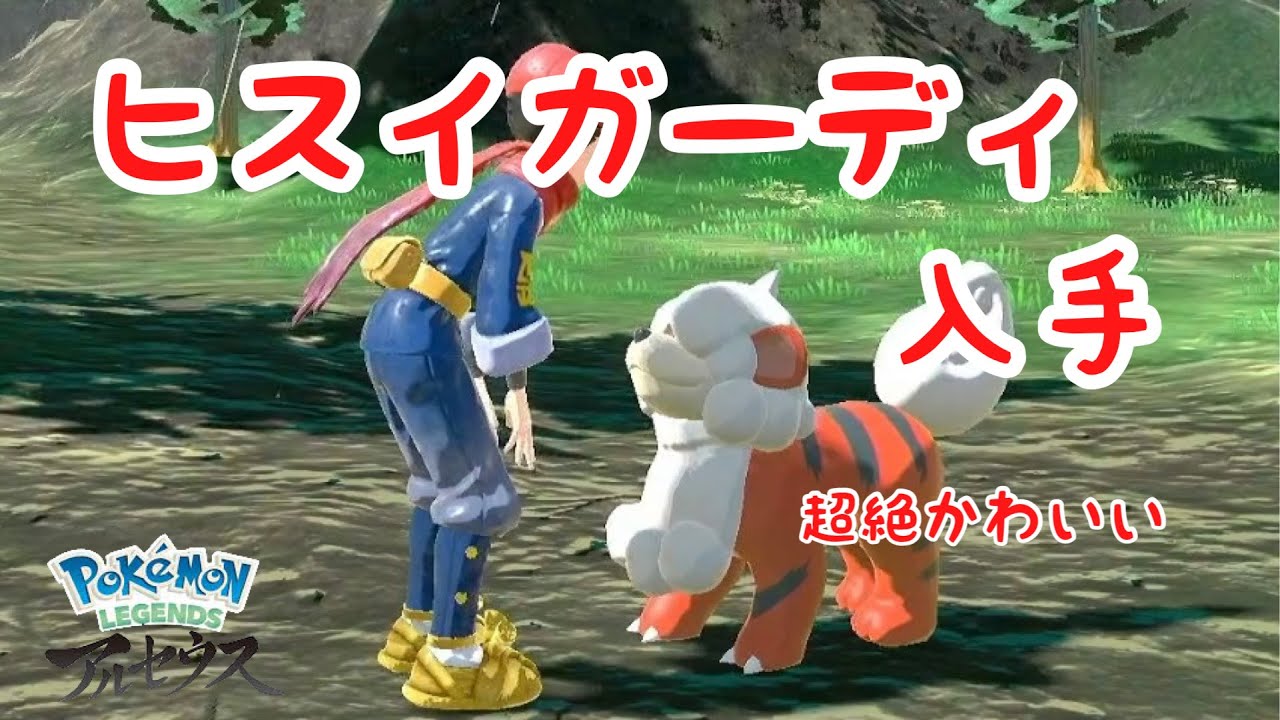 【Pokémon LEGENDS アルセウス】ヒスイガーディ　入手！！