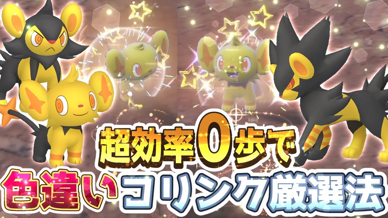 【ポケモンSV】コリンク色違い厳選方法【ポケモンスカーレットバイオレット】