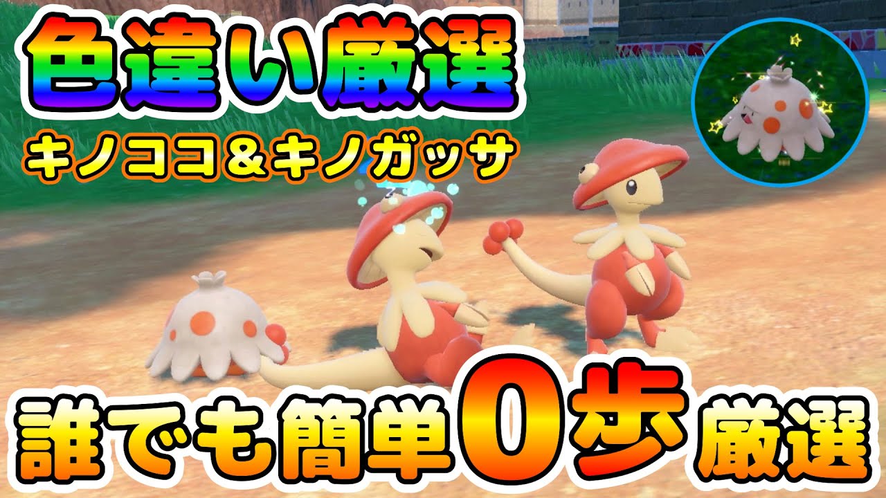 【色厳選】キノガッサ＆キノココの色厳選オススメ場所！大量発生無しでその場で厳選出来る！【ポケモンSV】