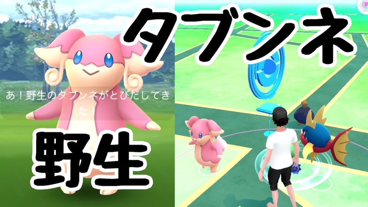 【ポケモンGO】タブンネ　野生に出現！！！