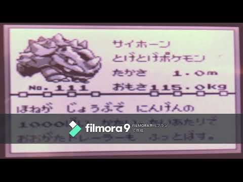 【図鑑NO111】サイホーン　鳴き声