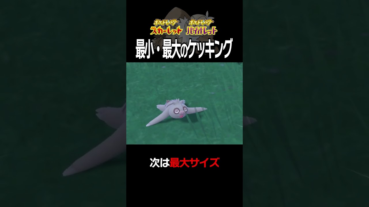 【大きさ比較】ケッキング編【ポケモンSV】#Shorts