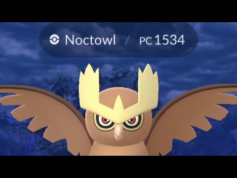 POKÉMON GO ノクトウルを捕まえる |ヨルノズクヨルノズク |貓頭夜鷹 |ノクトゥ |ノアルファング | 야부엉| โยรุโนะซึคุ
