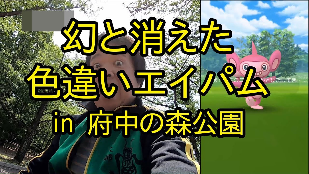 【ポケモンＧＯ】幻と消えた色違いエイパム in 府中の森公園