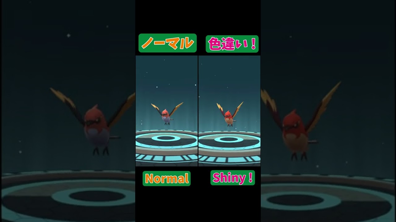 Shiny Pokémon ヤヤコマ(Fletchling) → ヒノヤコマ (Fletchinde) → ファイアロー (Talonflame)【Pokémon GO】 #Shorts