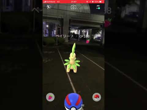 ポケモンGOベイリーフに逃げられる