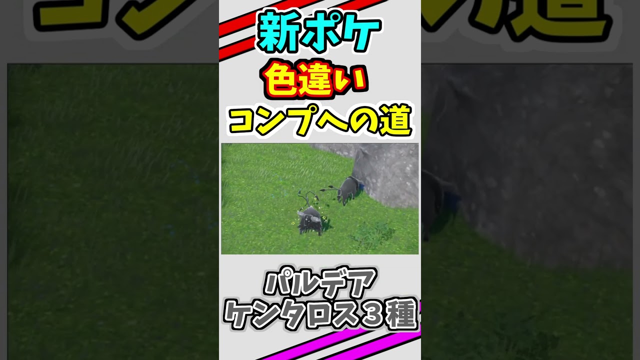 パルデアケンタロスの色違いを３種類コンプしたい！！　#shorts