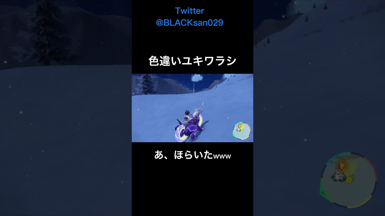 【ポケモンSV】色違いユキワラシ発見！ #ポケモンsv #色違い #ポケットモンスター #色違い厳選