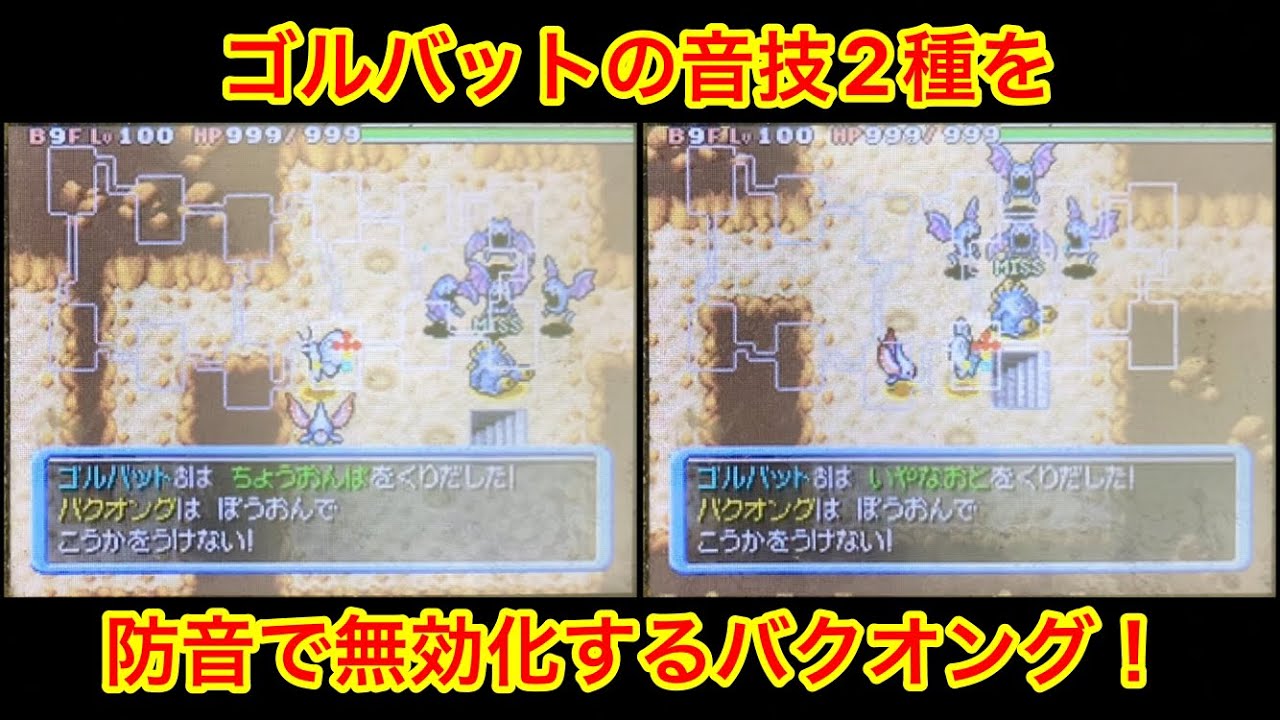 【ポケモンダンジョン時】 ゴルバットたちの音技を無効化するバクオング！