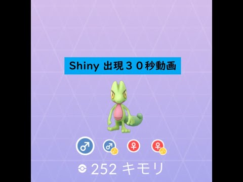 【Pokémon GO】Rarity ”D”＃252 キモリ ☆shiny☆#Short