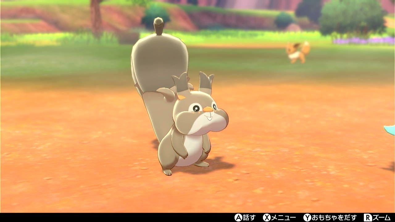 かわいいホシガリスをキャンプでずっと見る動画【ポケモン剣盾】