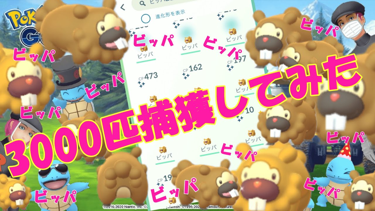 ビッパビッパビッパ3000匹捕獲してみた