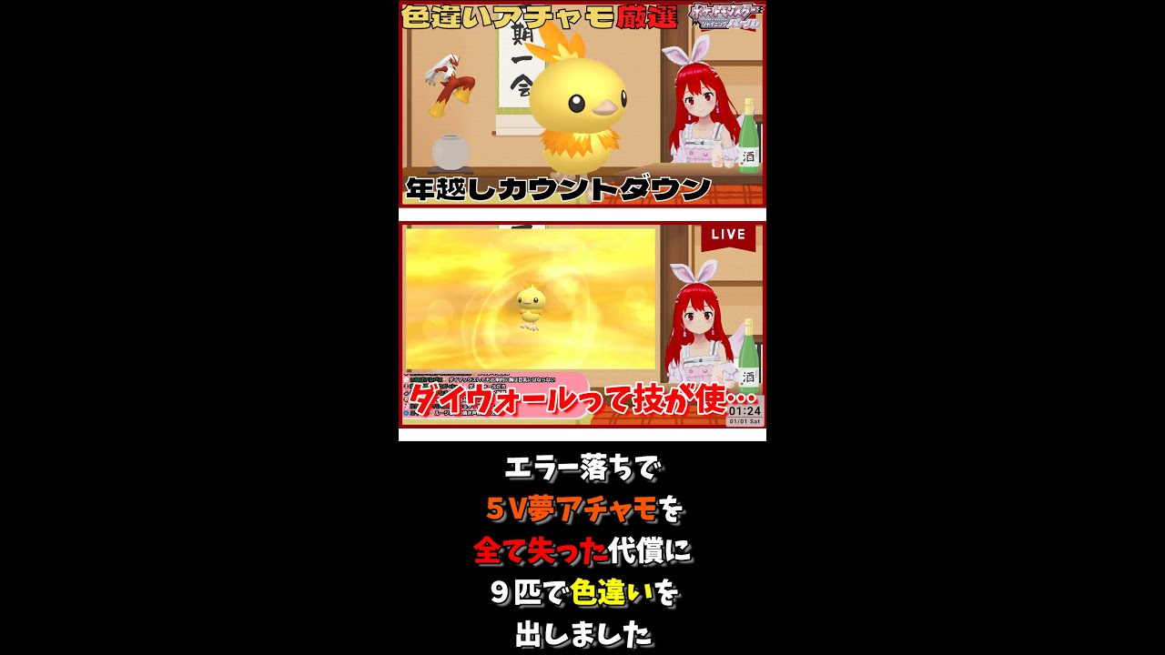 【ダイパリメイク】新年早々エラー落ちで５V夢アチャモを全て失った代償に９匹で色アチャモ出したｗｗｗ #shorts