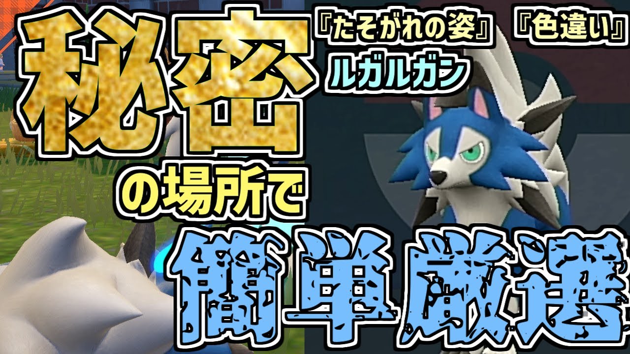 【#ポケモンSV #色違い】正直内緒にしておきたい、まだ知られてない場所での色違いたそがれルガルガンの一番簡単な入手法を紹介！他に厳選できる五種類のポケモンもいます！