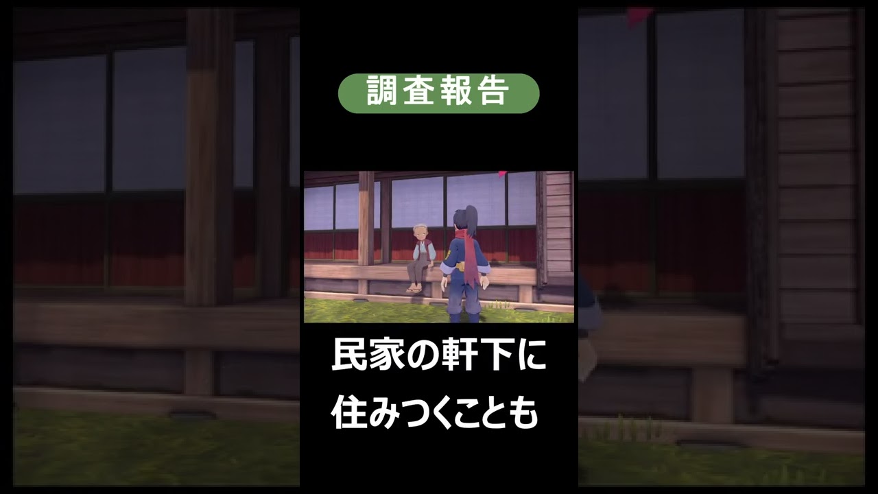 【調査報告】チリーン　#shorts