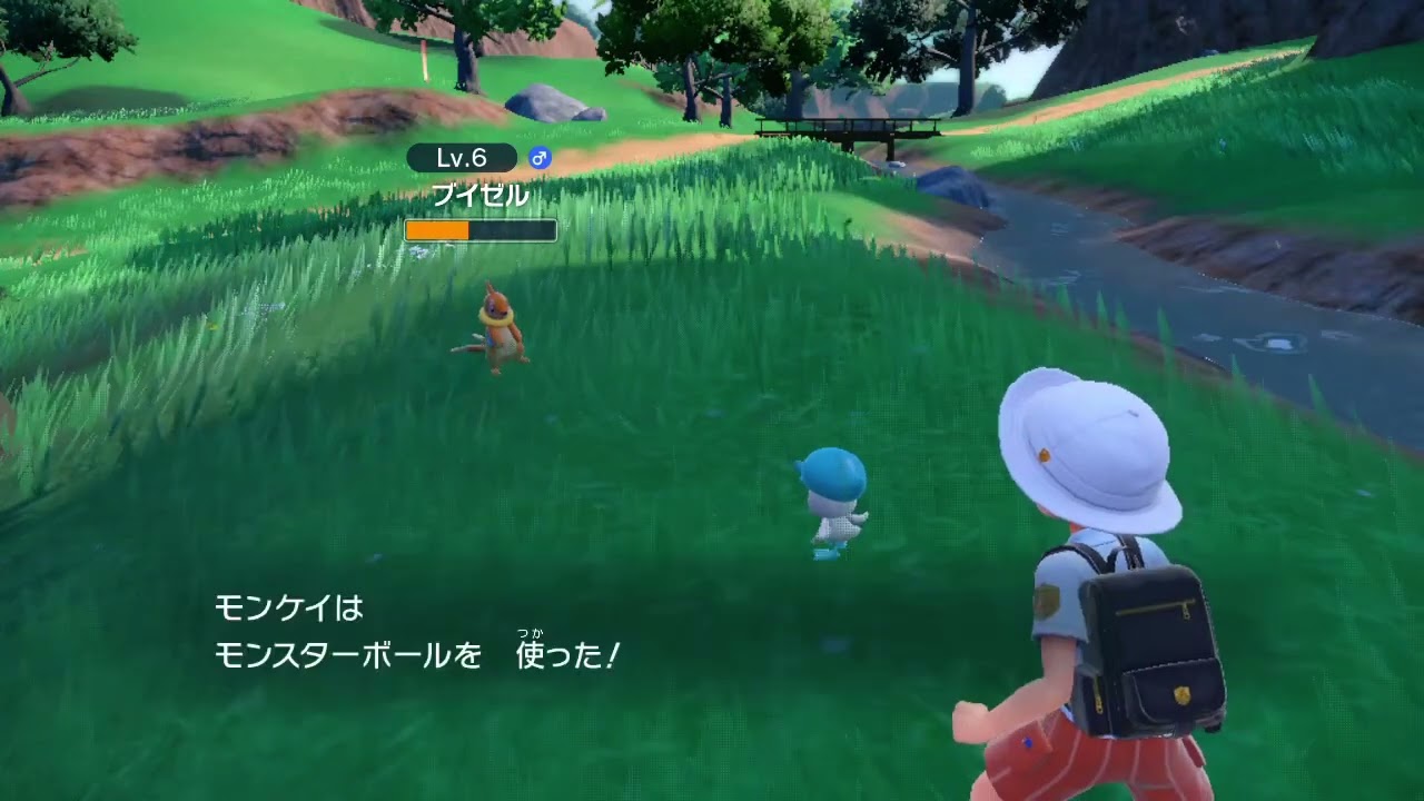 【ポケモンSV】ブイゼルを捕まえてみた