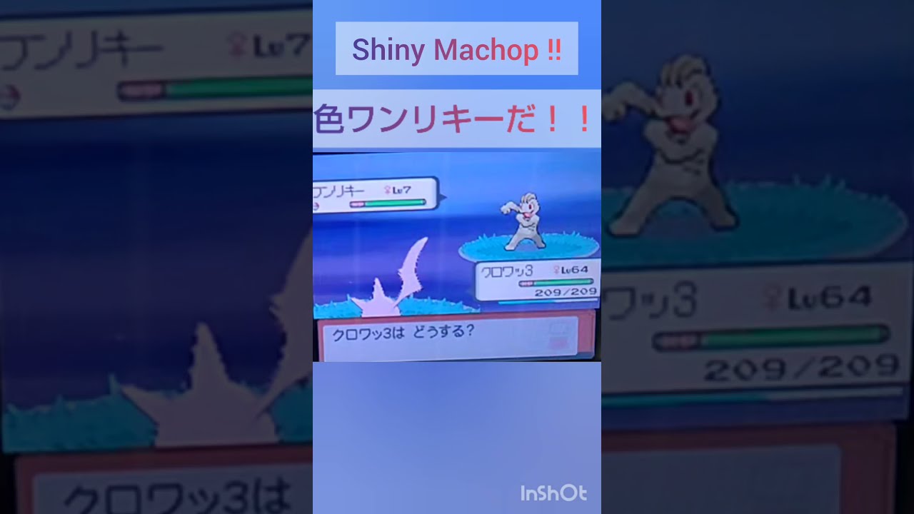 【ポケモンDP】色違い捕獲日記　22日目　ワンリキー　【PokémonDP】The diary Capturing shiny Pokémon's.　Day22　Machop　#shorts