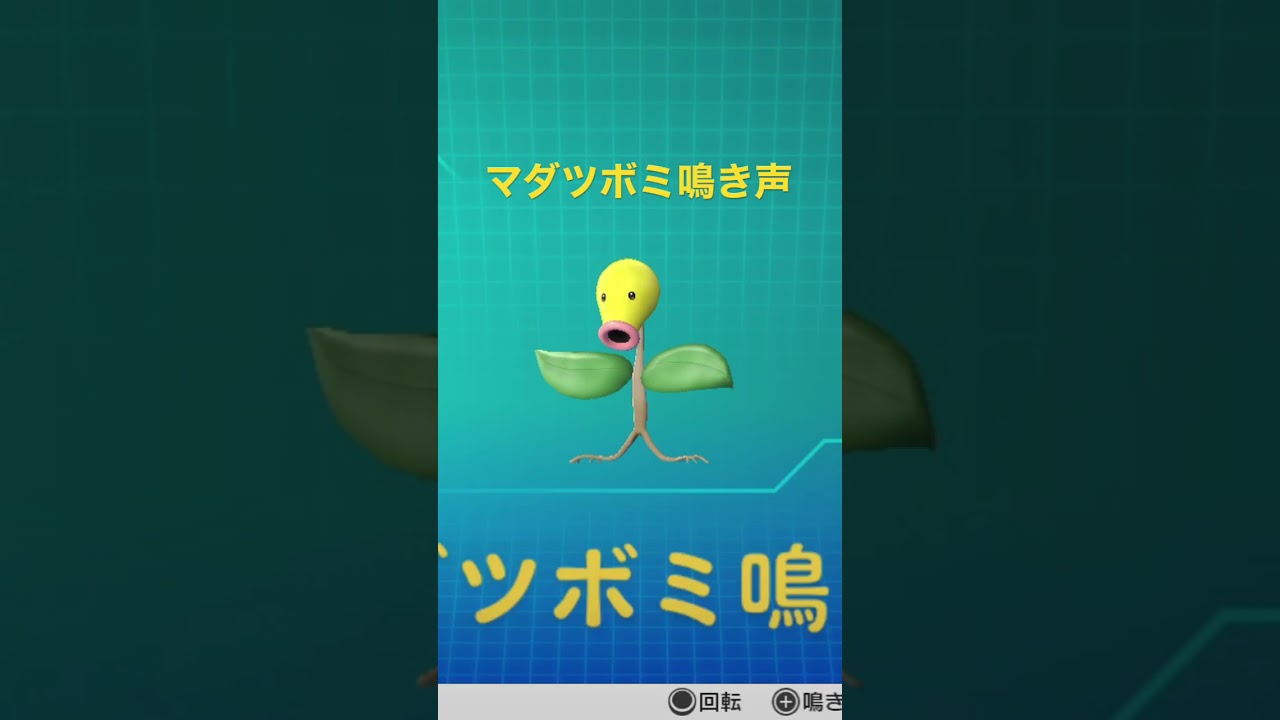 ピカブイ【図鑑NO069】マダツボミ鳴き声#ポケモン鳴き声 #図鑑コンプ #Bellsprout