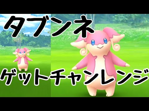 【ポケモンGO】「タブンネ」捕獲　〜ジェネレーションチャレンジ2020セレブレーション〜