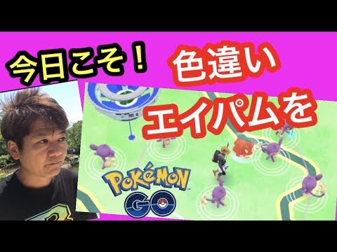 エイパムの色違いを自信満々で挑みます！【ポケモンGO】