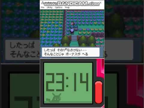 Pokemon Diamond J Hitmonchan Solorun 2022 047