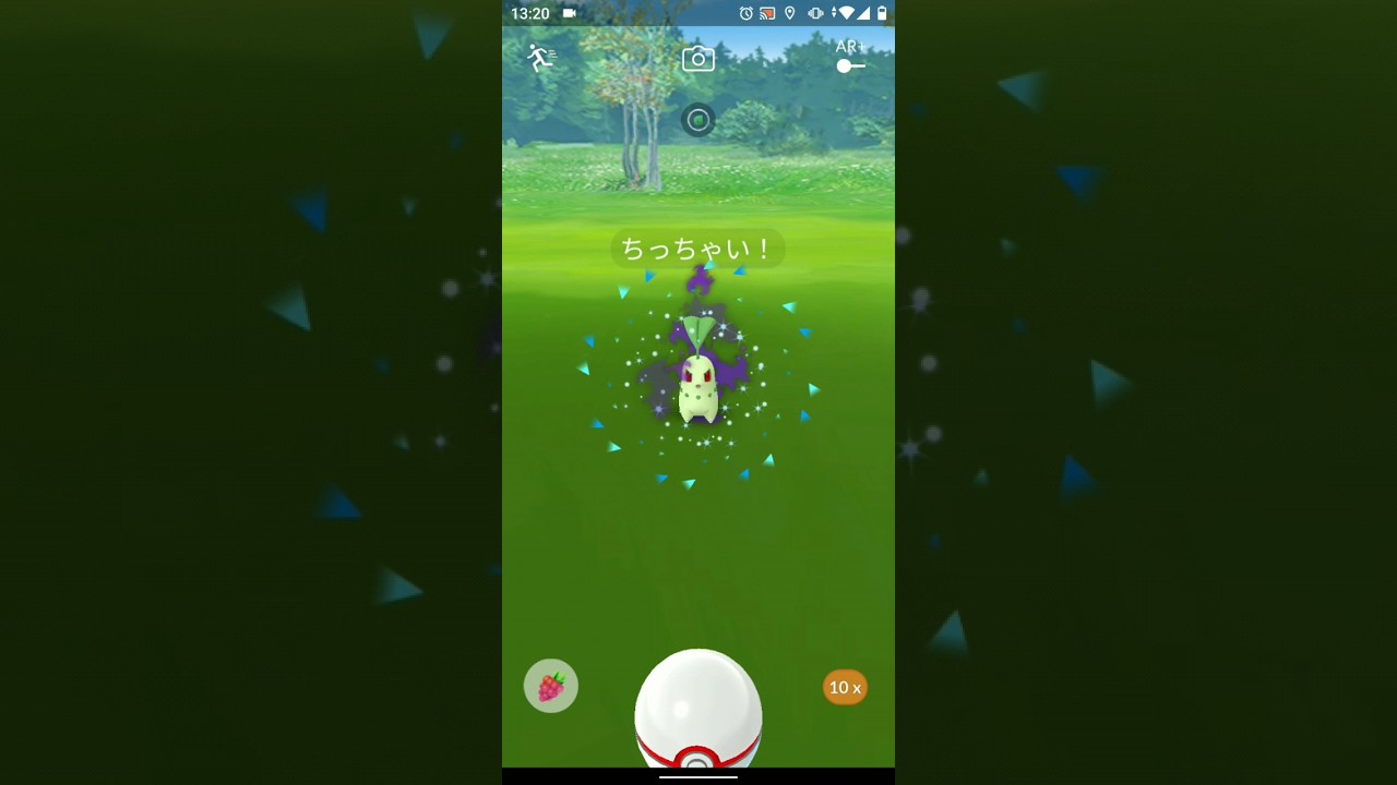 【ポケモンGO】ちっちゃい!シャドウチコリータ