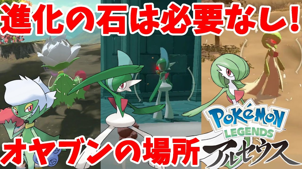 特殊な位置にいるオヤブンを探して！進化後個体の図鑑埋め【ポケモンレジェンズアルセウス】