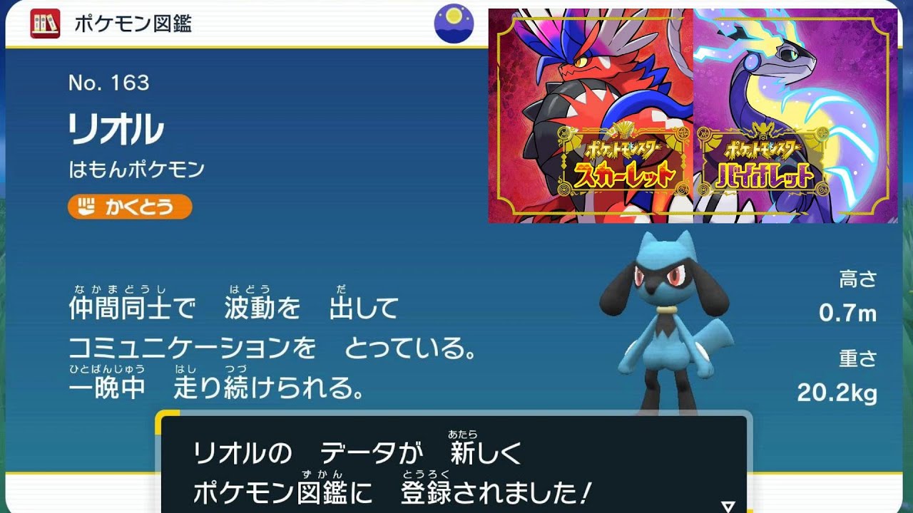 【ポケモンSV】ライド解放後早々に『リオル』ゲット スカーレット バイオレット Pokémon Scarlet and Violet