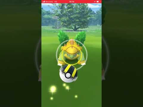 EX終了後のちょっといい事 ハヤシガメ発見！ ポケモンGO