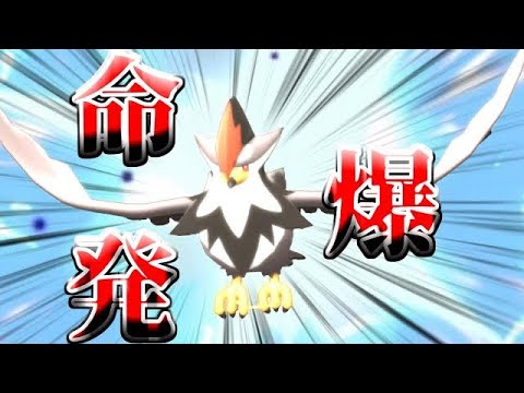 【ポケモンBDSP】相手を確実に倒す！？ムクホークのいのちがけが最強だった件【ダイパリメイク】【ゆっくり実況】