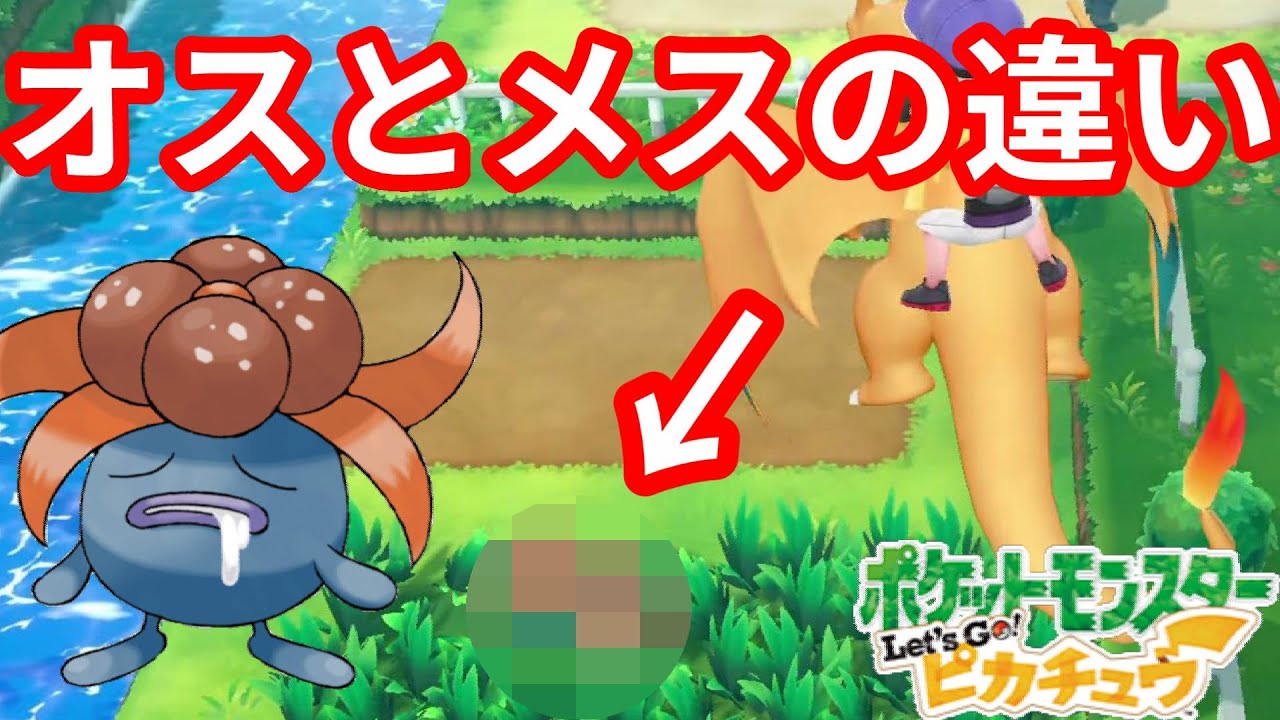 ポケモンのオスとメスの違い！クサイハナはここが違う！【ポケモンLet'sGO！ピカチュウ】