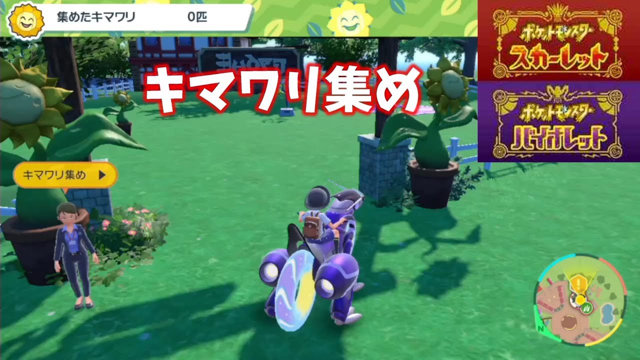 【ポケモンバイオレットスカーレット】キマワリ集め