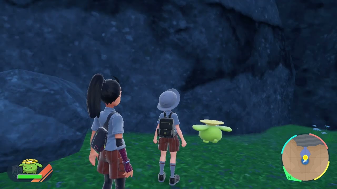 壁に向かって走るポポッコ