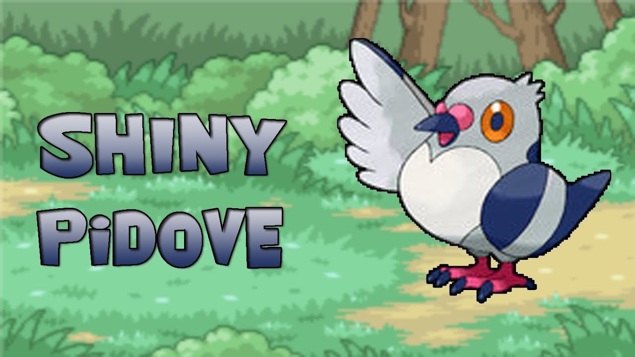 ライブリアクション！ピカピカのまめぱと/ピドーブ、1717回の出会い // ポイチジョン クロマティック