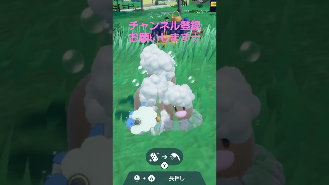 ポケモンSV ダグトリオを洗ってあげたら、ビンビンになった(^.^)