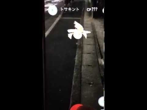 ポケモンGO トサキント 2回弾かれながらもGET