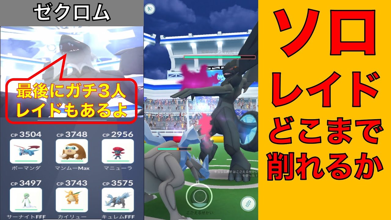ポケモンGO ゼクロム ソロレイドどこまで削れるか