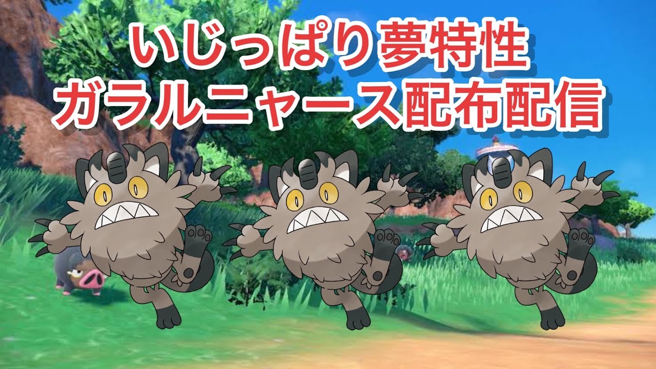 夢特性いじっぱりガラルニャースを配布する生配信！在庫が切れたら孵化作業配信になります　ポケモンSV