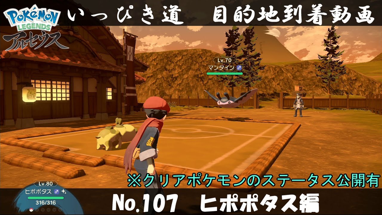 【いっぴき道攻略】No.107 ヒポポタス編【Pokémon LEGENDS アルセウス】