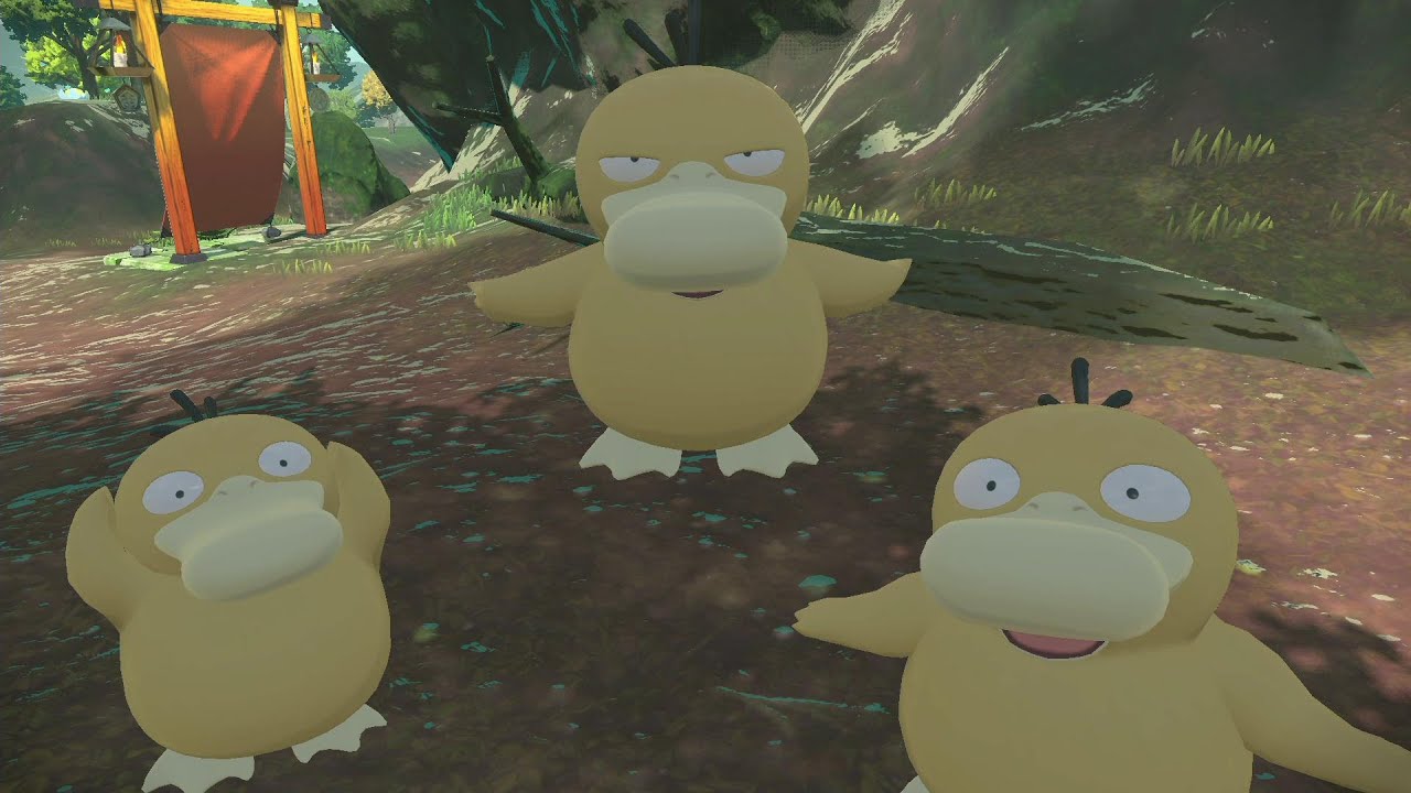 かわいいコダックたちと戯れます【Pokémon LEGENDS アルセウス ポケモン レジェンズ アルセウス】