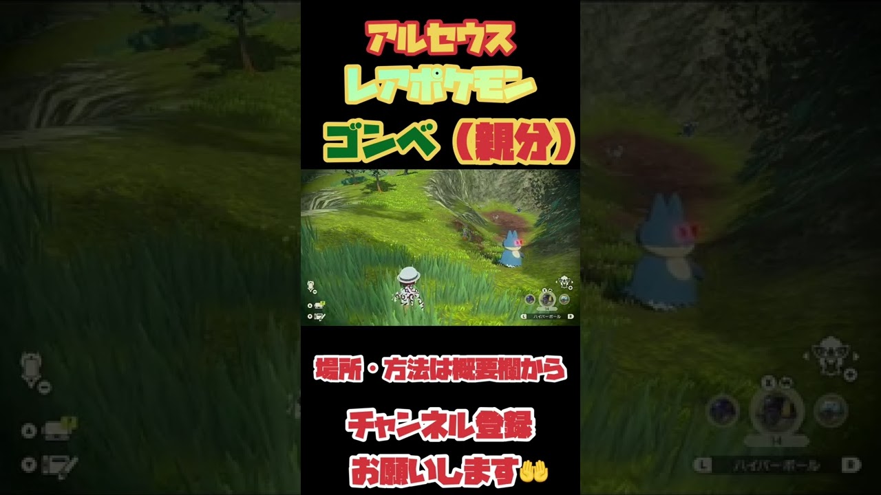 ポケモンアルセウス　レアポケモン、ゴンベが可愛すぎる！