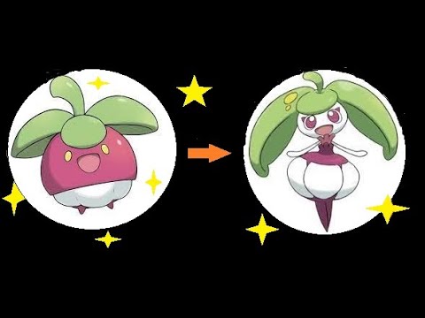 Bounsweet evoluiu em Steenee