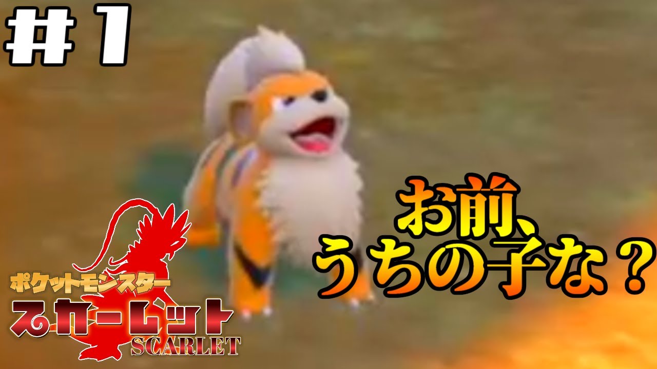 【ガーディはどこ!?】ふうるのポケットモンスタースカーレット【愚鈍怪ふうる】