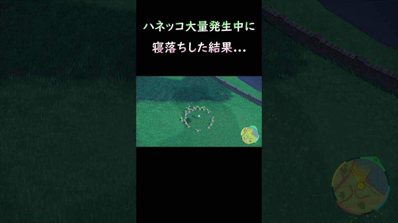 【ポケモンsv】ハネッコ大量発生中に寝落ちした結果 #shorts