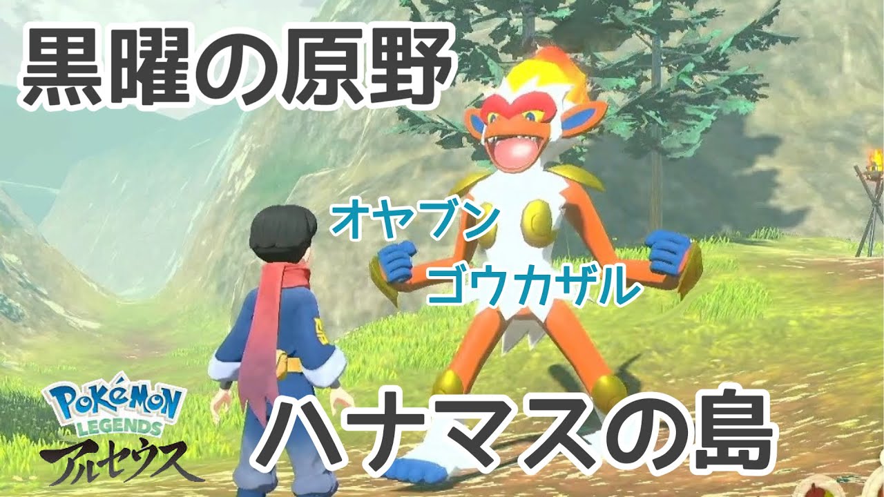 【ポケモンアルセウス】オヤブンゴウカザル　入手