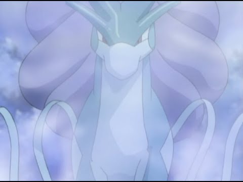 願いを叶えてスイクン登場