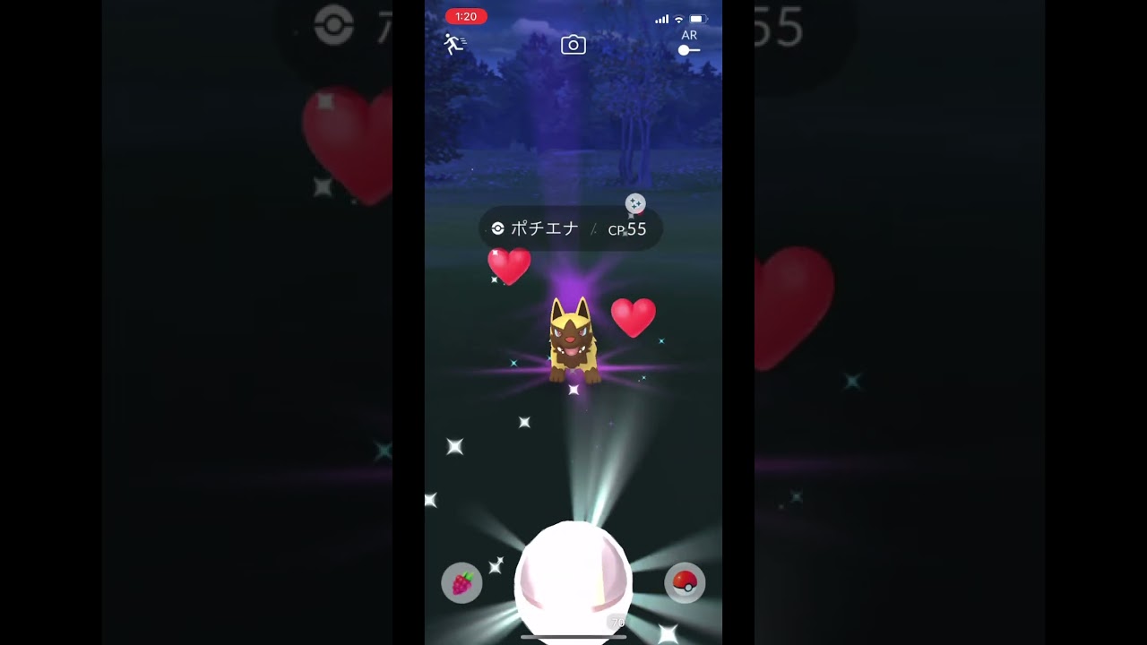 色違いポチエナゲットだぜ！　#ポケモンgo #ポケモンgo色違い