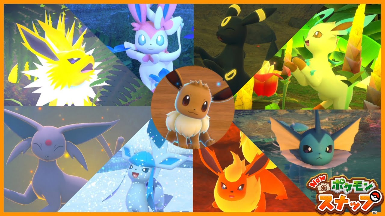 【ポケモンスナップ】かわいいブイズ大集合！全ブイズ 星☆1～4 高得点の撮り方！ イーブイ ニンフィア リーフィア エーフィ シャワーズ ブースター グレイシア サンダース ブラッキー Eevee