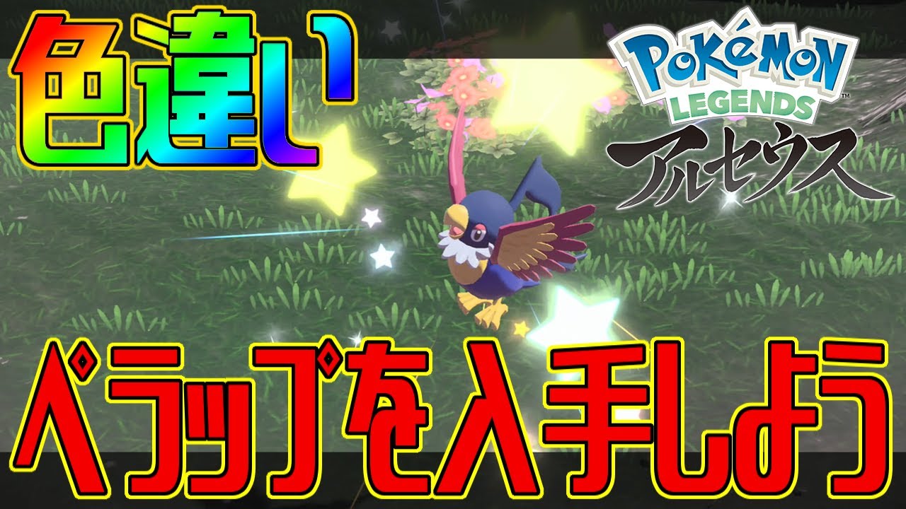 【ポケモンアルセウス】色違いペラップを入手しよう【Pokémon LEGENDS アルセウス】