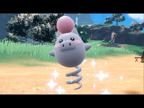 【ポケモンSV】特殊耐久に自信のあるバネブー【ランクバトル・ポケットモンスター スカーレット・バイオレット】